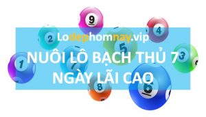 Kinh nghiệm chơi lô nuôi max 7 ngày Miền Bắc