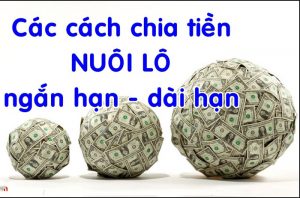 Phương pháp phân bổ tiền nuôi lô hiệu quả