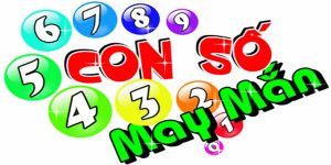 Bộ l&ocirc; theo b&oacute;ng l&ocirc; đề