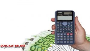 C&aacute;ch v&agrave;o tiền nu&ocirc;i l&ocirc; 7 ng&agrave;y